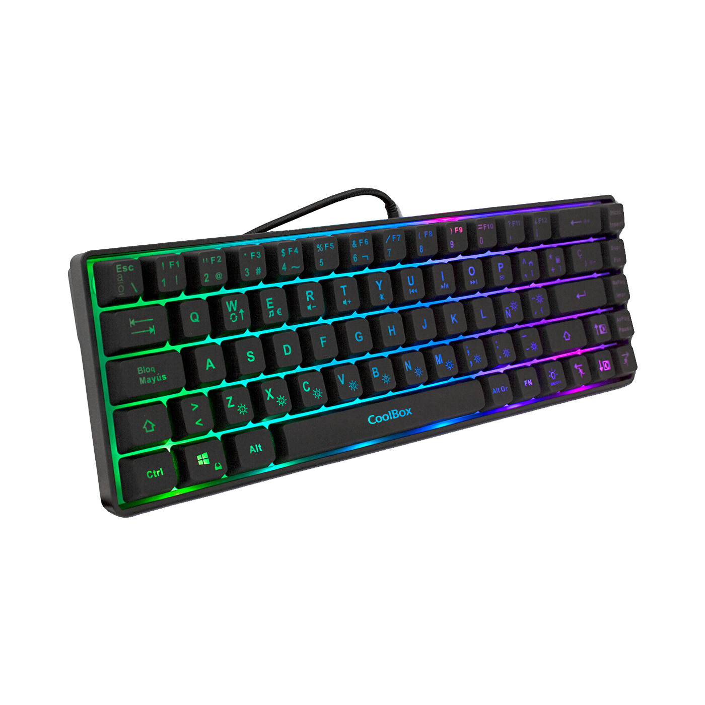 DG-TEC65-RGB (5) copia